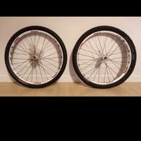 Ruote cerchi MTB DT Swiss 26 pollici