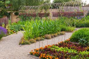 Terreno agricolo per orto o frutteto