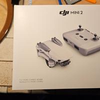 dji mini 2