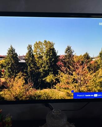 Lg oled cx 55