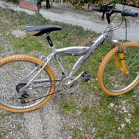 Mountain bike da ragazzo