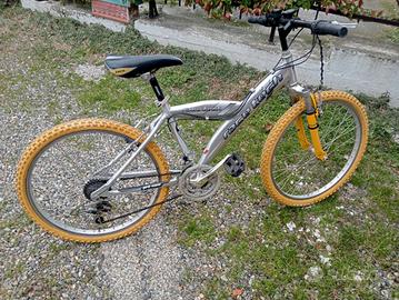 Mountain bike da ragazzo