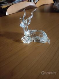 Swarovski kudu collezione