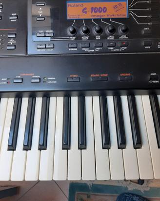 roland g1000