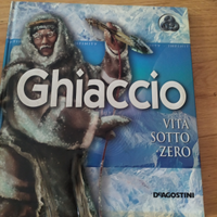 Libro Ghiaccio, vita sotto zero