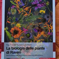 La biologia delle piante di Raven