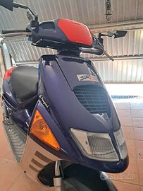 aprilia sr perugini 
