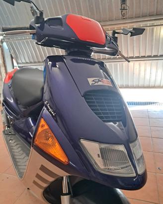 aprilia sr perugini 