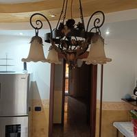 lampadaei