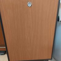 mini frigo L45