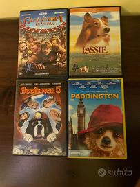 4 dvd per ragazzi