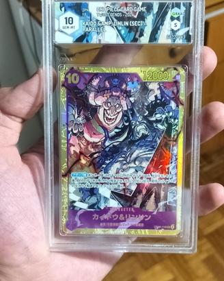 OnePiece-Kaido &Linkin(sec) Graad 10
