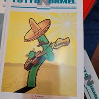 riviste tuttonormel varie annualità 