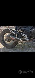 Mivv oval silenziatore scarico carbon 