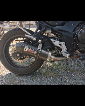 Mivv oval silenziatore scarico carbon 