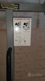 STANDING LEG CURL ISOTONICO TECHNOGYM