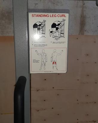 STANDING LEG CURL ISOTONICO TECHNOGYM