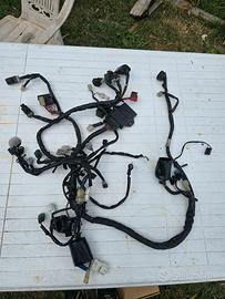 Impianto elettrico completo+ centralina Yamaha XJ6
