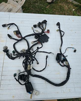 Impianto elettrico completo+ centralina Yamaha XJ6