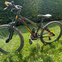 Mountain bike da 24