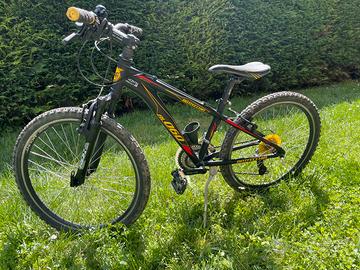 Mountain bike da 24