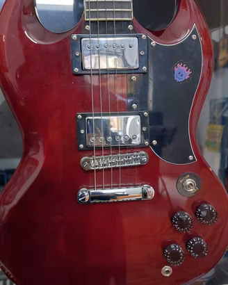 SG elettrica 