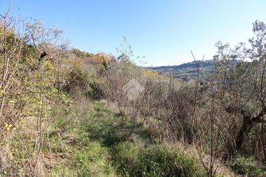 TER. AGRICOLO A SALISANO