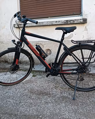  bergamont citybike