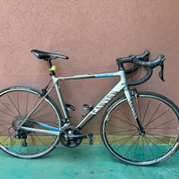 BDC Canyon Endurance CF 7.0 2018