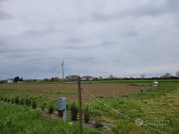 Terreno agricolo Q.10.000 vicino Bagnarola