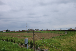 Terreno agricolo Q.10.000 vicino Bagnarola