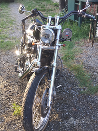 Harley Davidson sporster 1200custom