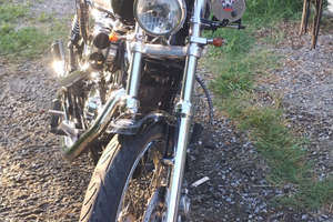 Harley Davidson sporster 1200custom