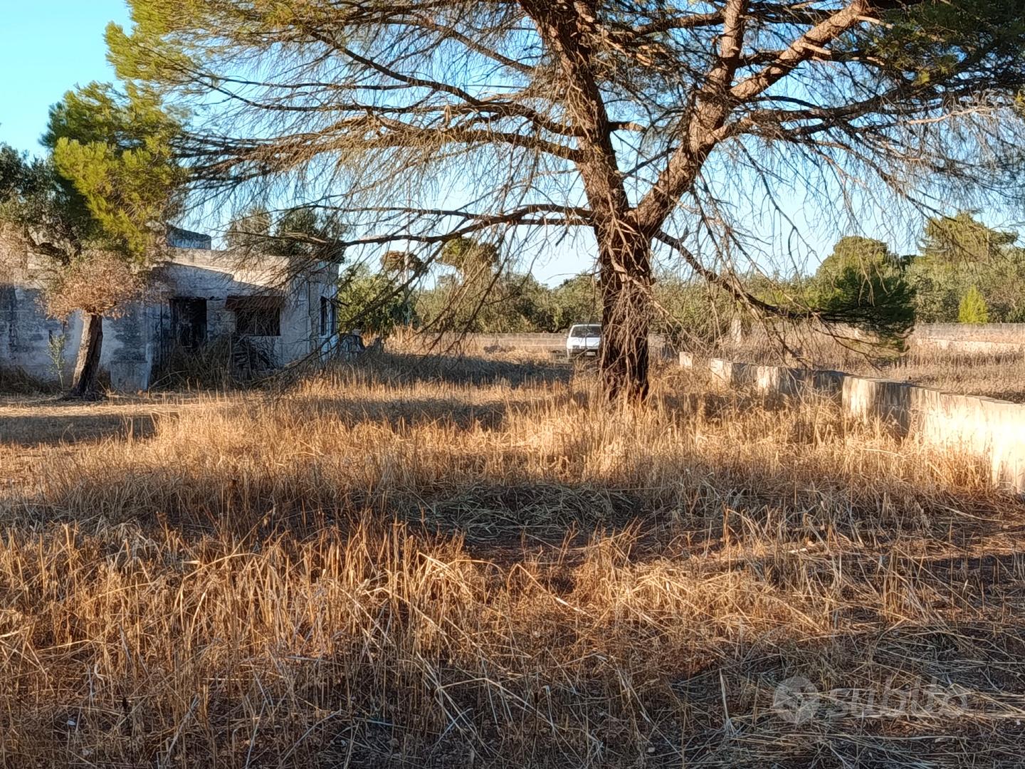 Terreno agricolo di 2.000 mq in Oria - Vista 5