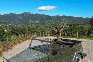 Vendi Volkswagen Pescaccia