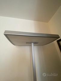 Lampada piantana Guzzini