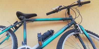 Bicicletta monthebike 