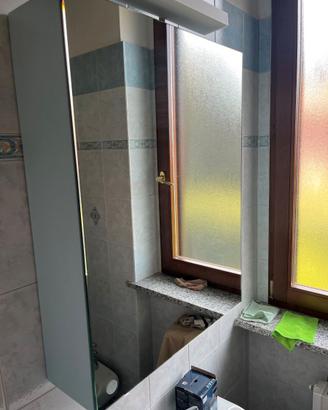Specchiera contenitore con accessori bagno