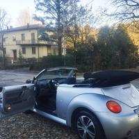 Volkswagen new beetle