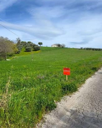 Terreno Agricolo a Magliano di Tenna