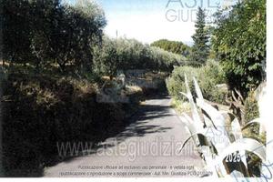 Terreno Agricolo Lamporecchio [A4339081]