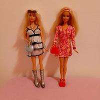 Coppia Barbie con accessori
