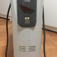 Termosifone elettrico