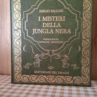 I misteri della jungla nera