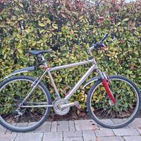 Mountain bike doppio cambio