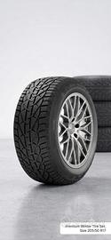 Coppia Pneumatici Invernali Riken 205/50 R17 93H