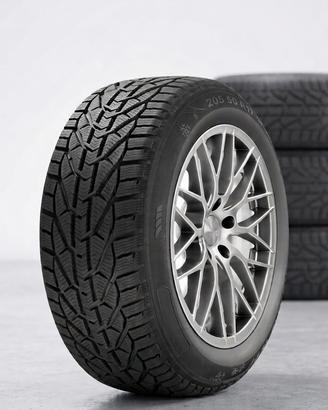 Coppia Pneumatici Invernali Riken 205/50 R17 93H