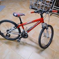 Mountain bike ruote 24