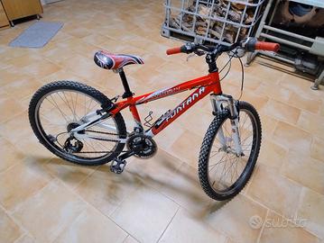 Mountain bike ruote 24