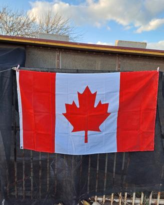 Canadese Bandiera